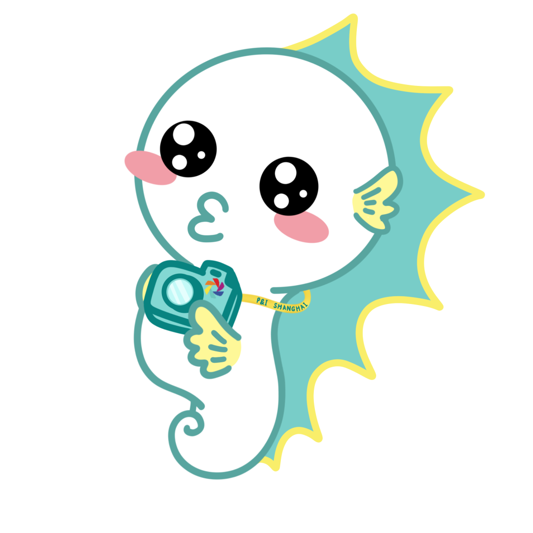 08193238p8cs.png