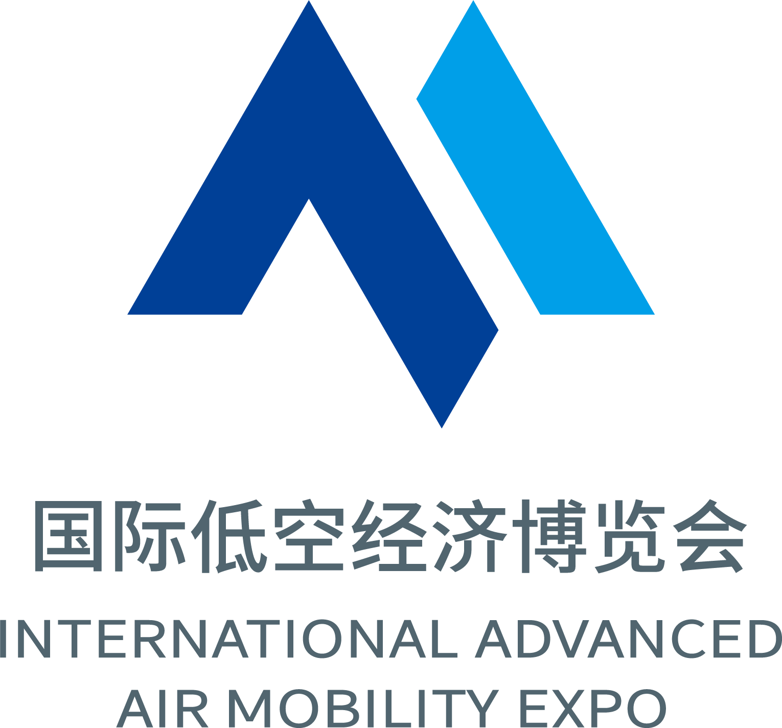 2025国际低空经济博览会